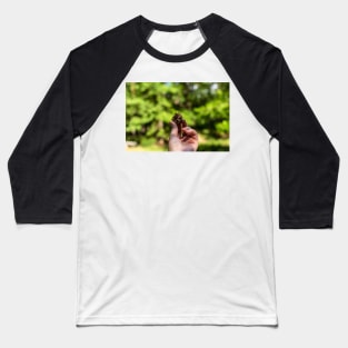 Hand holding pine cone Baseball T-Shirt